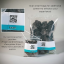 10lbs Natural Grey Slate Rocks For Terrariums & Aquariums