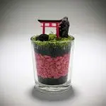 DIY Nano Shinto Shrine Terrarium Kit