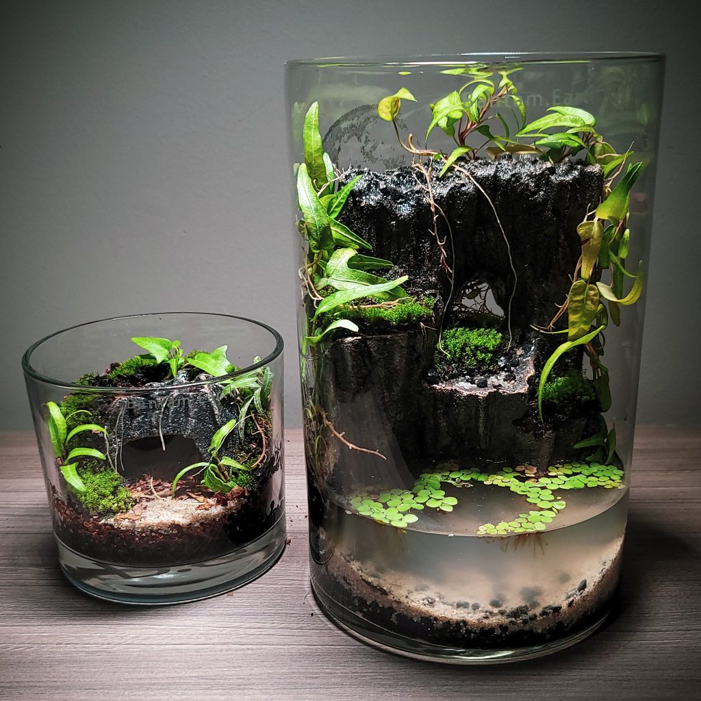 Handmade Hardscape/Terrain Decor For Aquariums & Terrariums