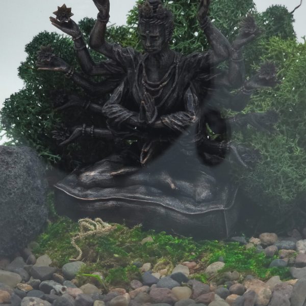 Mini Hindu Buddha Terrarium kit