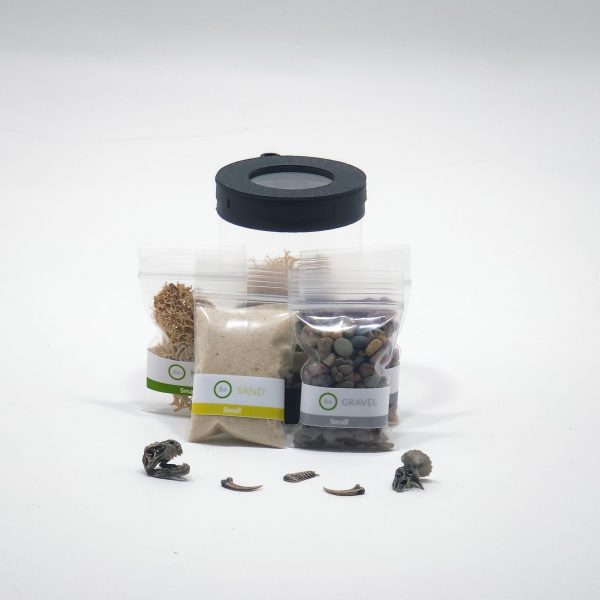 DIY Nano Prehistoric Dinosaur Fossil Terrarium Kit