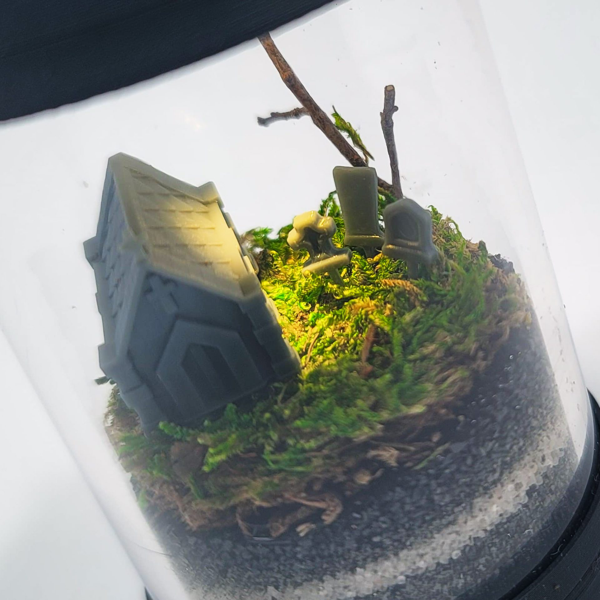 Nano Graveyard Terrarium kit