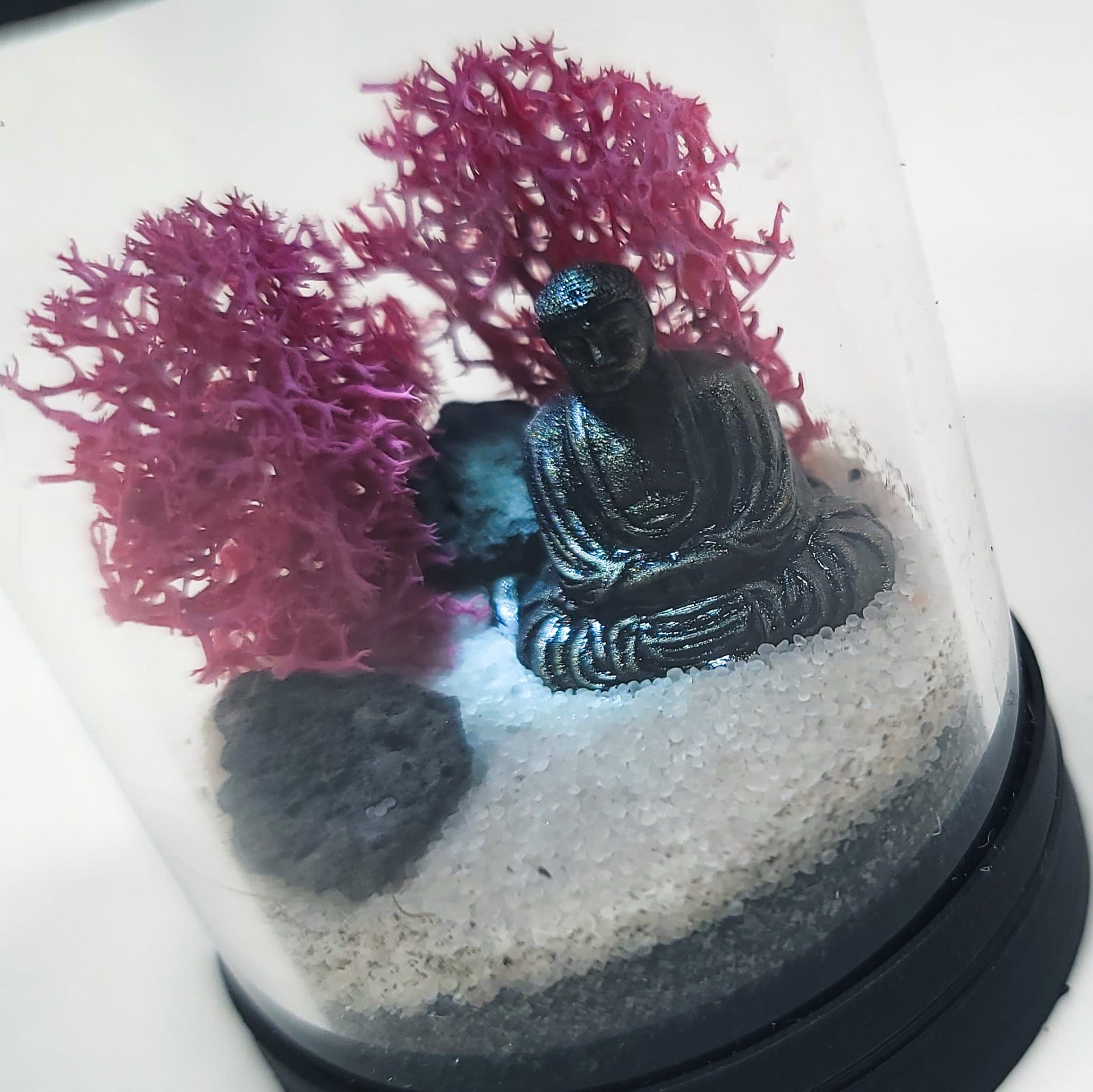 DIY Nano Japanese Buddha Terrarium Kit
