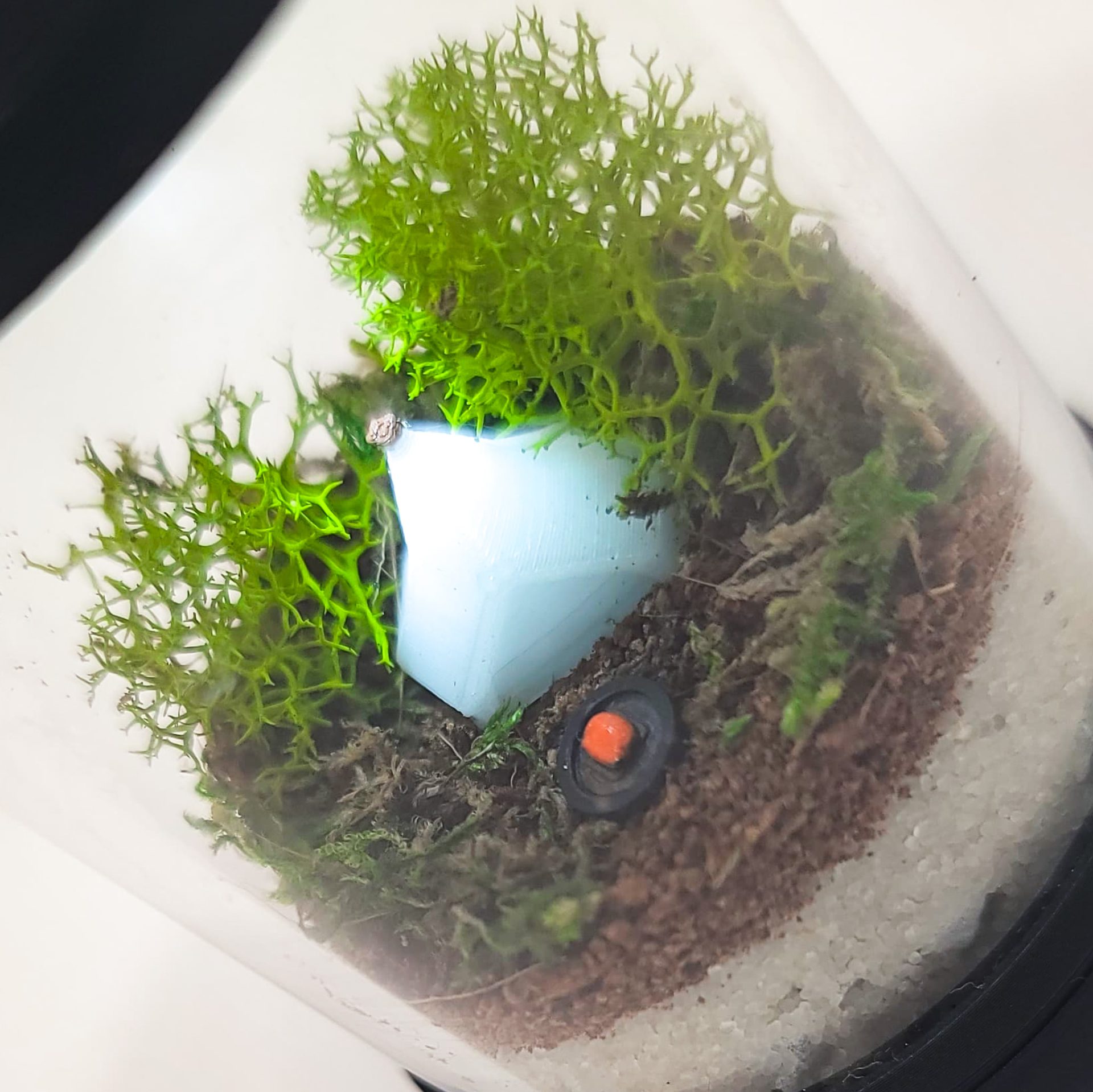 Nano Glowing Campsite Terrarium kit