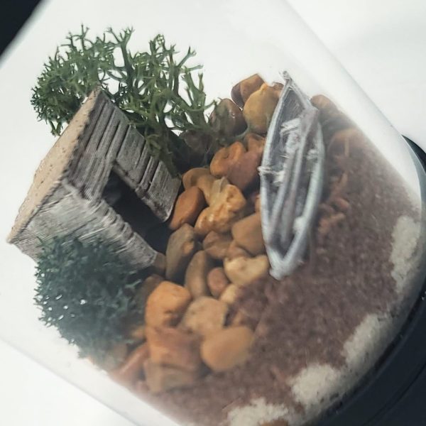 DIY Nano Rustic Cabin Shack Terrarium kit