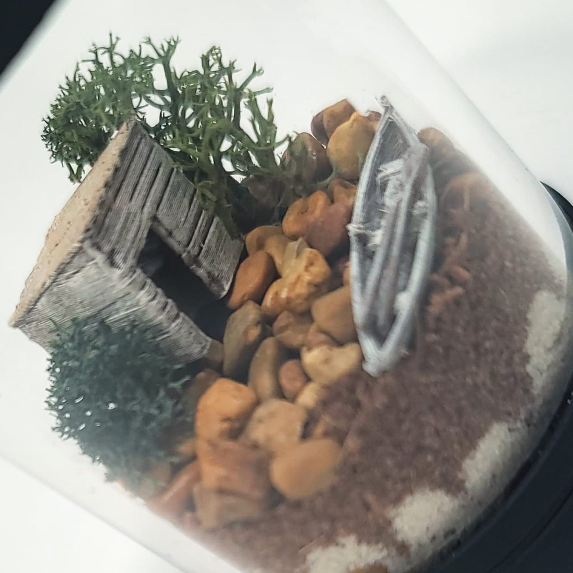 DIY Nano Rustic Cabin Shack Terrarium kit