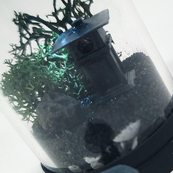 DIY Nano Japanese Garden Lamp Terrarium Kit