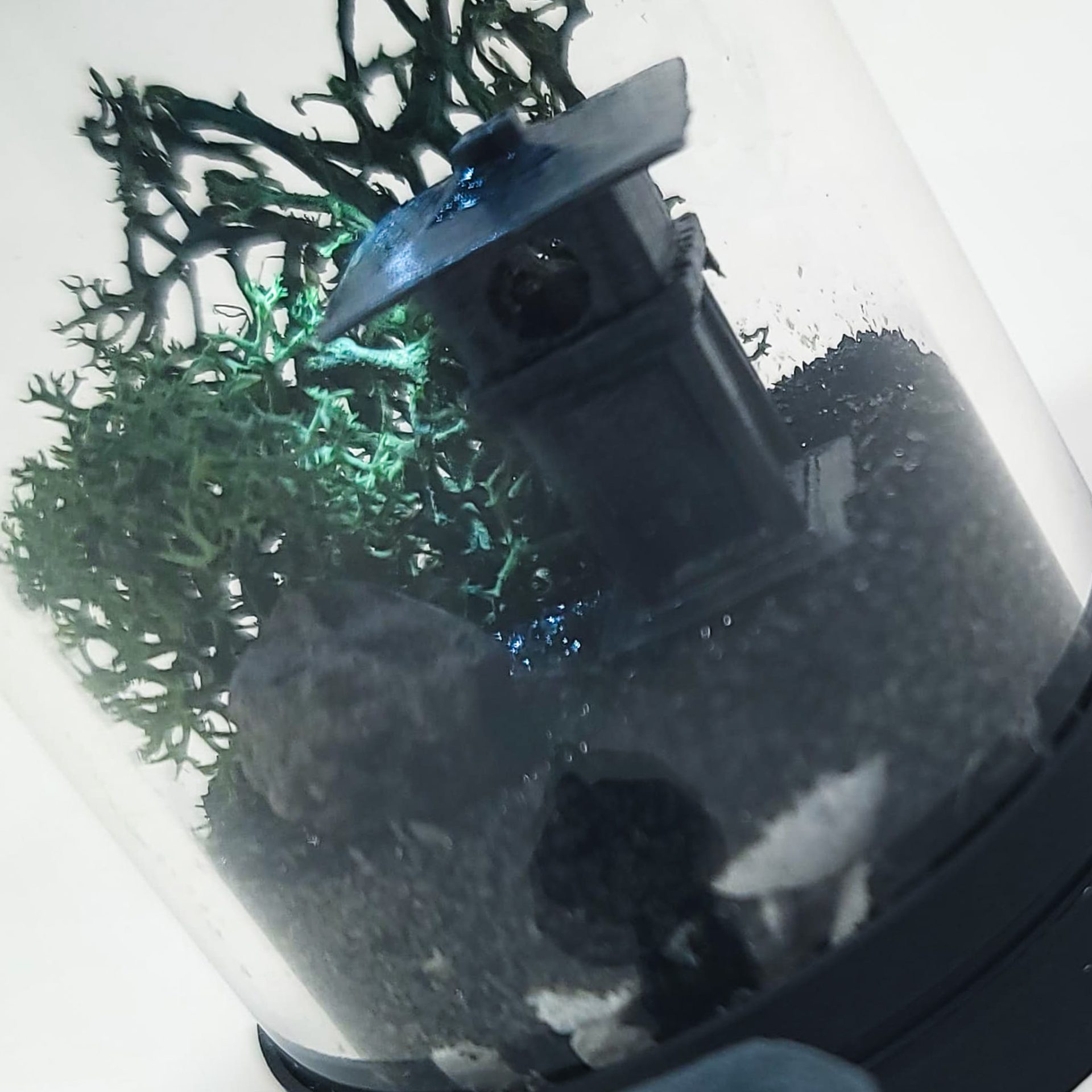 DIY Nano Japanese Garden Lamp Terrarium Kit