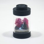 DIY Nano Japanese Buddha Terrarium Kit