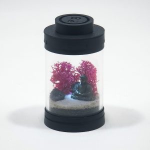 DIY Nano Japanese Buddha Terrarium Kit
