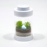 Tiny Glowing Campsite Terrarium kit