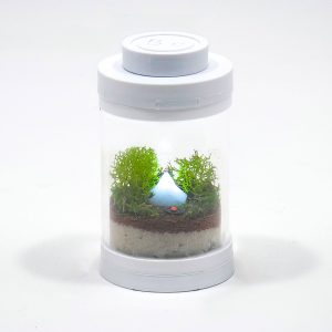 Nano Glowing Campsite Terrarium kit