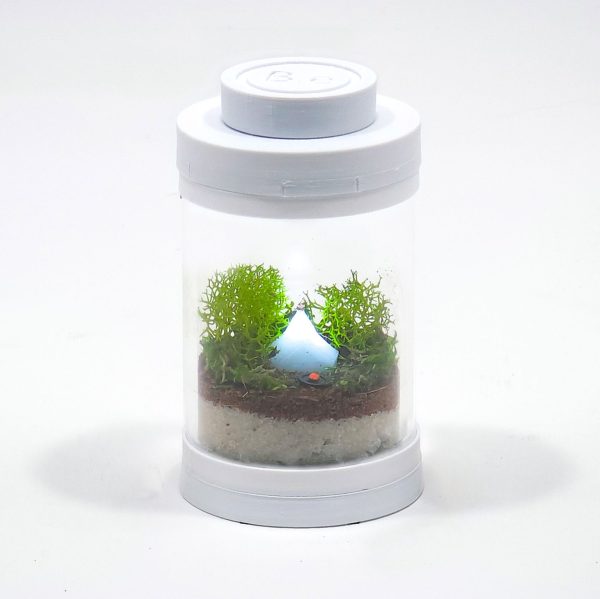 Tiny Glowing Campsite Terrarium kit