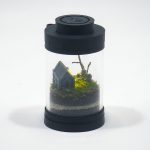 Nano Graveyard Terrarium kit