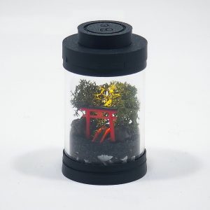 DIY Nano Shinto Shrine Terrarium Kit
