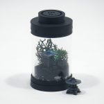 DIY Nano Japanese Garden Lamp Terrarium Kit
