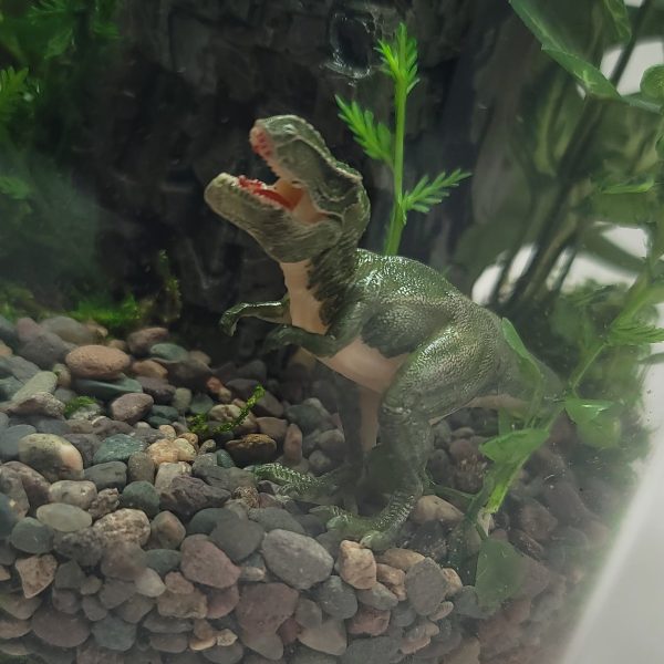 DIY Tropical Dinosaur Jungle Terrarium kit | Bantam.Earth