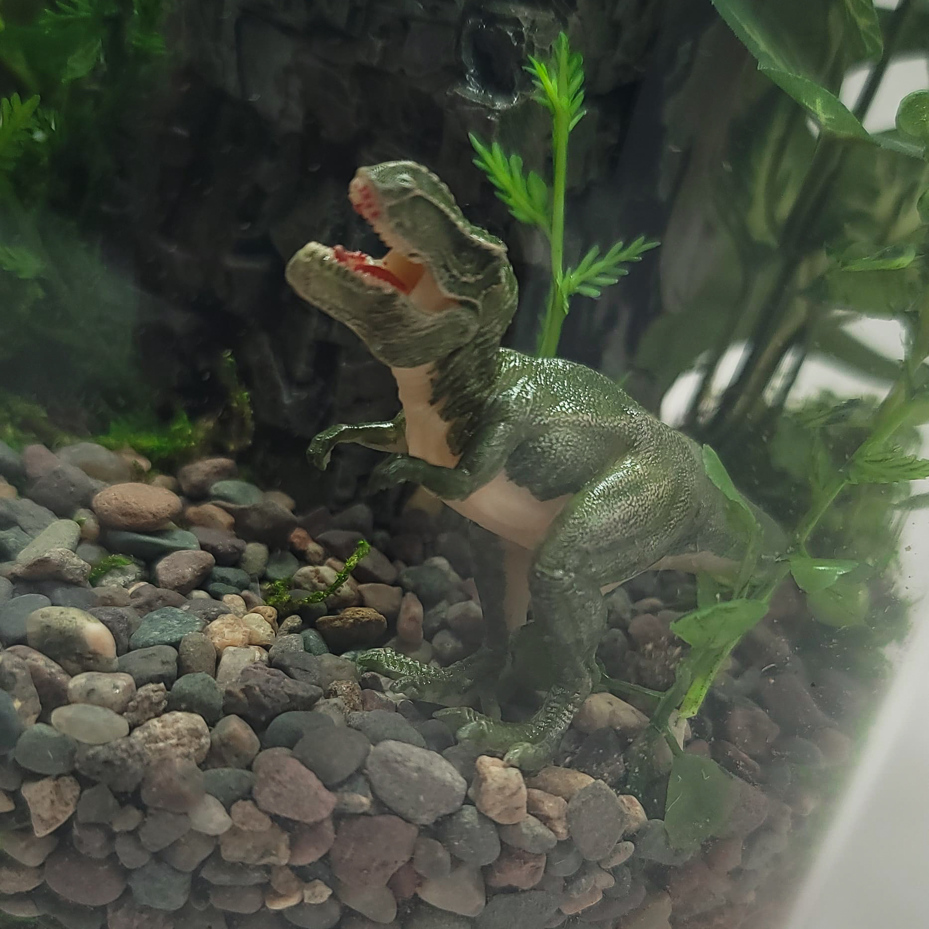DIY Tropical Dinosaur Jungle Terrarium kit | Bantam.Earth