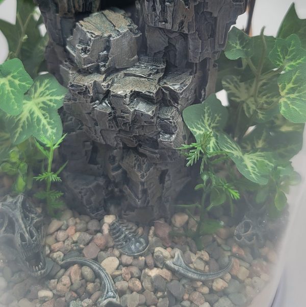 DIY Prehistoric Fossil Desert Terrarium kit | Bantam.Earth