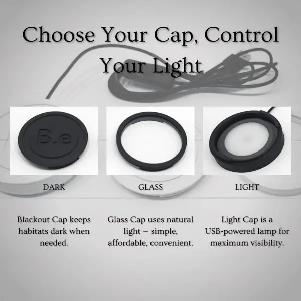 Choose Your Cap, Control Your Light