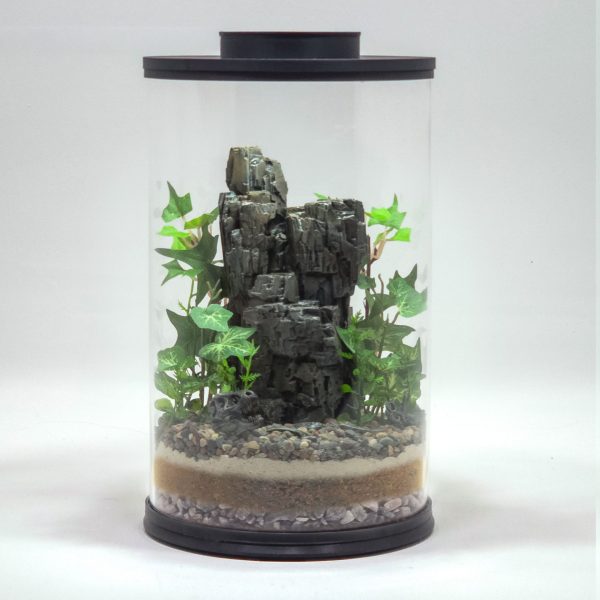 DIY Nano Prehistoric Fossil Desert Terrarium kit | Bantam.Earth