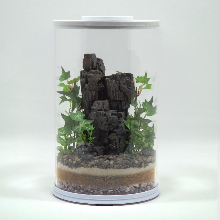 Prehistoric Desert Terrarium Kit NANO image