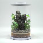 DIY Prehistoric Fossil Desert Terrarium kit | Bantam.Earth