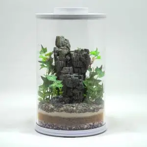 DIY Prehistoric Fossil Desert Terrarium kit | Bantam.Earth