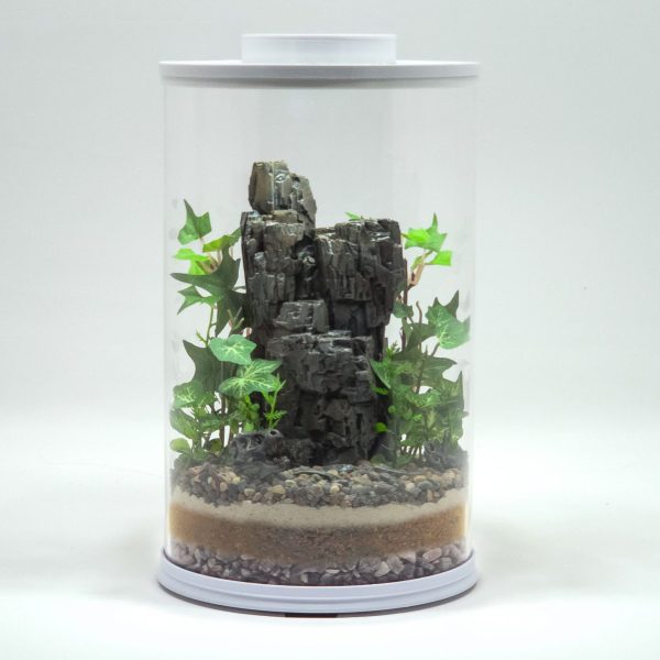 DIY Prehistoric Fossil Desert Terrarium kit | Bantam.Earth