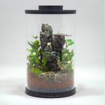 DIY Tropical Dinosaur Jungle Terrarium kit | Bantam.Earth
