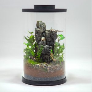 DIY Tropical Dinosaur Jungle Terrarium kit | Bantam.Earth