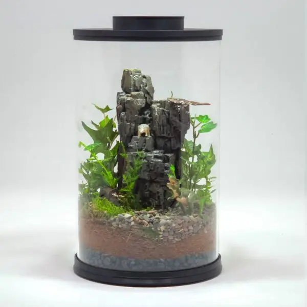 DIY Tropical Dinosaur Jungle Terrarium kit | Bantam.Earth