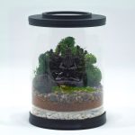 Mini Hindu Buddha Terrarium kit
