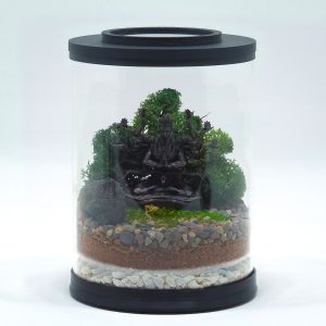 Mini Hindu Buddha Terrarium kit