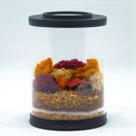 Mini Cozy Cabin Terrarium Kit
