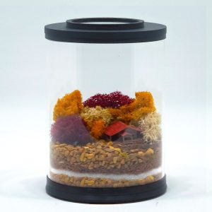Mini Cozy Cabin Terrarium Kit