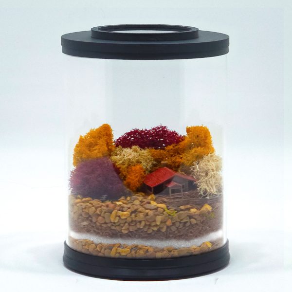 Mini Cozy Cabin Terrarium Kit