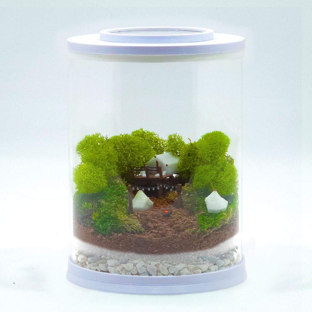 DIY Mini Glowing Campsite Terrarium kit | Bantam.Earth