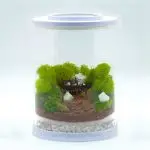 Mini Glowing Campsite Terrarium kit