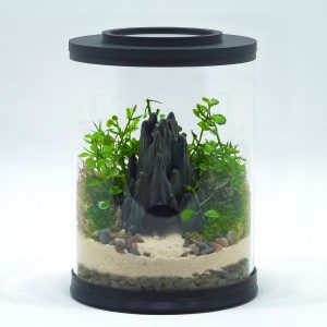DIY Mini Cave Terrarium kit | Bantam.Earth