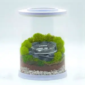 DIY Mini Roman Colosseum Terrarium kit | Bantam.Earth