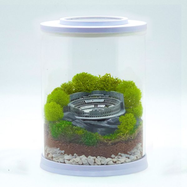 DIY Mini Roman Colosseum Terrarium kit | Bantam.Earth