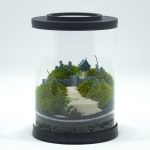 DIY Mini Graveyard Terrarium kit