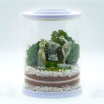 DIY Mini Greek Statue Terrarium Kit