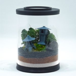Mini Tōrō Lamp Garden Terrarium kit