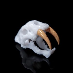 Saber Toothed Tiger Skull Decor | Bantam.Earth