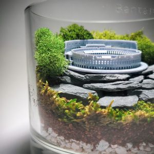DIY Mini Roman Colosseum Terrarium kit | Bantam.Earth