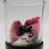 Ready-Made Miniature Japanese Terrarium By Bantam.Earth