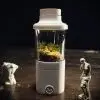 Ready-Made Miniature Roman Terrarium By Bantam.Earth