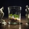 Ready-Made Miniature Roman Terrarium By Bantam.Earth